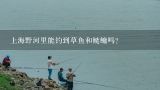 上海野河里能钓到草鱼和鲢鳙吗？野河如何钓草鱼、鲤鱼