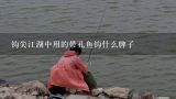 钩尖江湖中用的带孔鱼钩什么牌子,带孔鱼钩与扁柄鱼钩哪个好