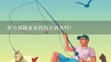 在中国路亚真的钓不到鱼吗?为什么在我国路亚钓鱼的人很少？