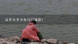 这里有多少鱼可以捕获？