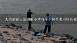 大沽湖在大沽湖的小湾有多少种鱼类可以在这里捕获或观察到?