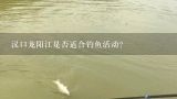 汉口龙阳江是否适合钓鱼活动?