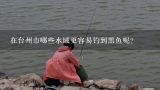 在台州市哪些水域更容易钓到黑鱼呢?