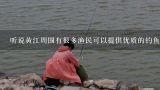 听说黄江周围有很多渔民可以提供优质的钓鱼服务和装备租赁你有推荐的地方吗?