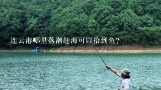 连云港哪里落潮赶海可以拾到鱼？