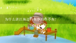 为什么湛江海边钓鱼净钓些小鱼？