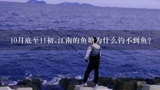 10月底至11初,江南的鱼塘为什么钓不到鱼?