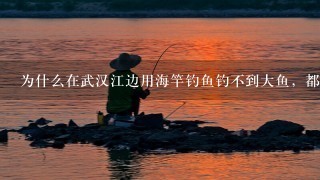 为什么在武汉江边用海竿钓鱼钓不到大鱼，都是黄骨鱼