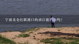 宁波北仑红联渡口的甬江能钓鱼吗?
