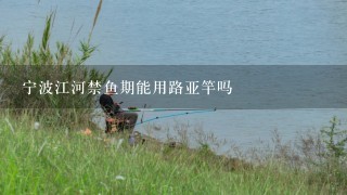 宁波江河禁鱼期能用路亚竿吗