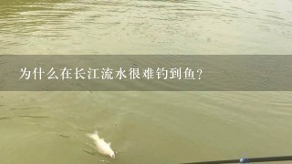 为什么在长江流水很难钓到鱼？