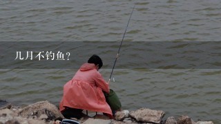 几月不钓鱼？