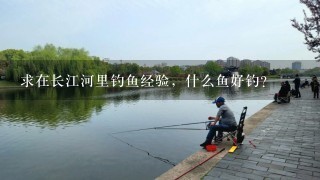 求在长江河里钓鱼经验，什么鱼好钓？