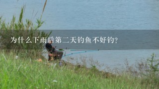 为什么下雨后第2天钓鱼不好钓？
