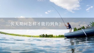 3伏天期间怎样才能钓到鱼？