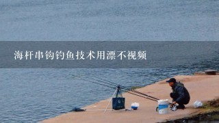 海杆串钩钓鱼技术用漂不视频