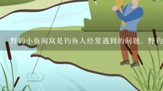 野钓小鱼闹窝是钓鱼人经常遇到的问题，野钓如何避免