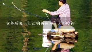 立冬后晚上江边钓鱼鱼为什么不咬钩