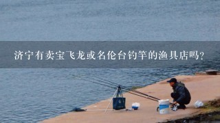 济宁有卖宝飞龙或名伦台钓竿的渔具店吗？